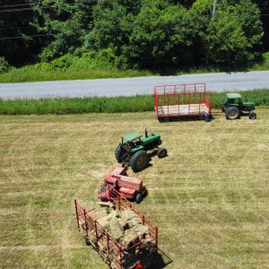 Hay for Sale in Warwick, New York