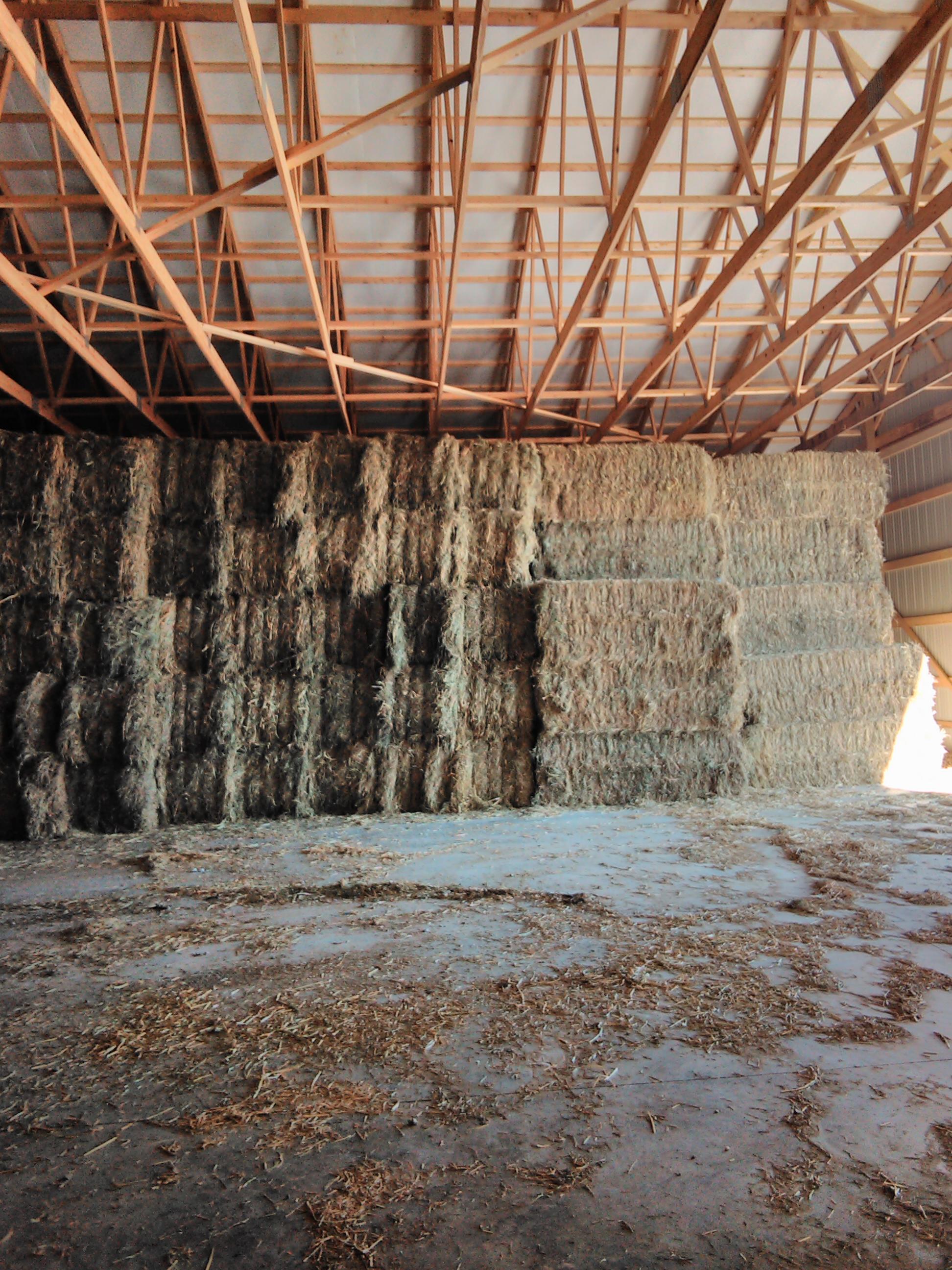 Clean Grass Hay - Barn Stored - 3x3x8 Multiple Cutting & Grade Options