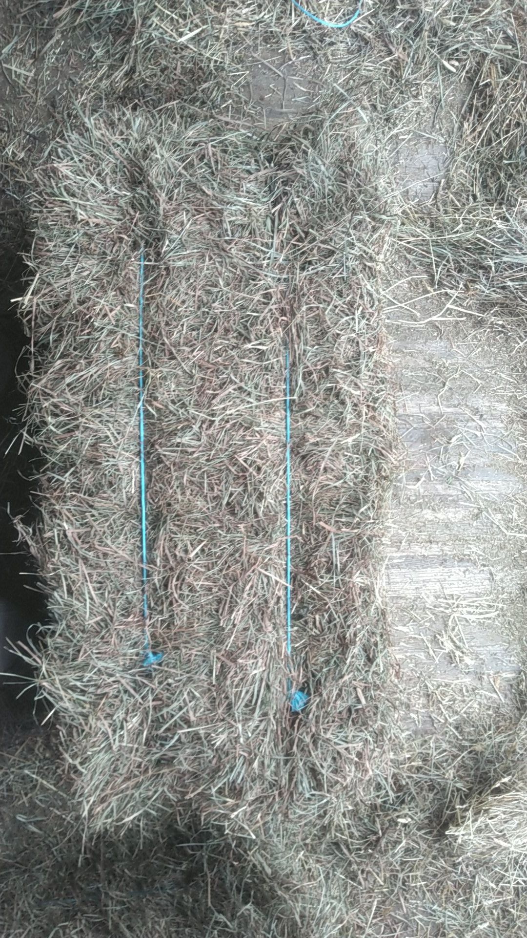 Hay for sale in Binghamton, New York