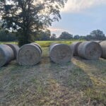 Bermuda/ Bahia Hay Bales