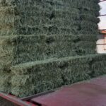 Beautiful Canadian hay