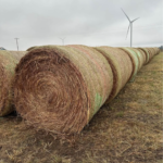 Prairie hay Brome mix hay