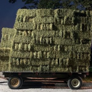 Premium Alfalfa Orchard Mix Hay Bales for Sale in Secor, Illinois